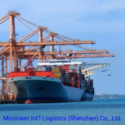 FCL/LCL-Seetransportdienste von China nach Angola
