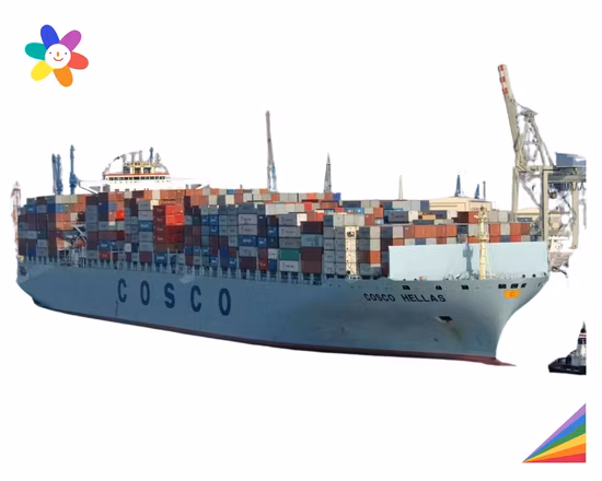 Professioneller See-/Lufttransport von China nach Katar für 1688/Alibaba und andere allgemeine und gefährliche Fracht